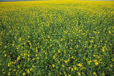 科隆：《迷走深空：碎舰师》9月20日登陆次世代主机